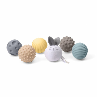 Ch.Bri12541000000 Bola SensCoelh DouDou